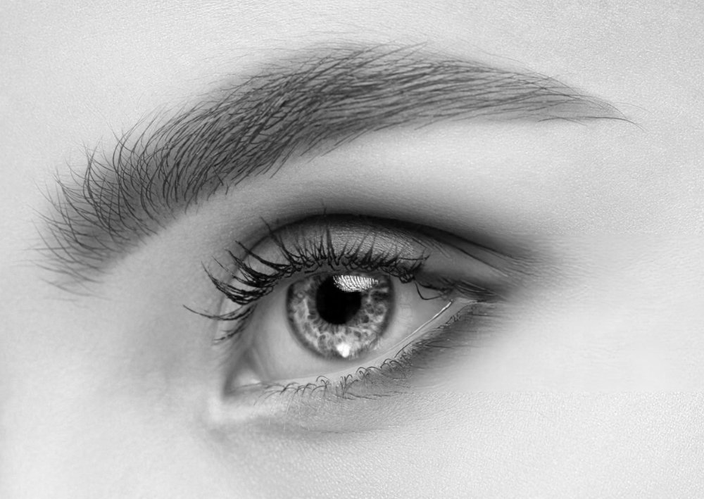 Lash and Brow Tinting Rohnert Park