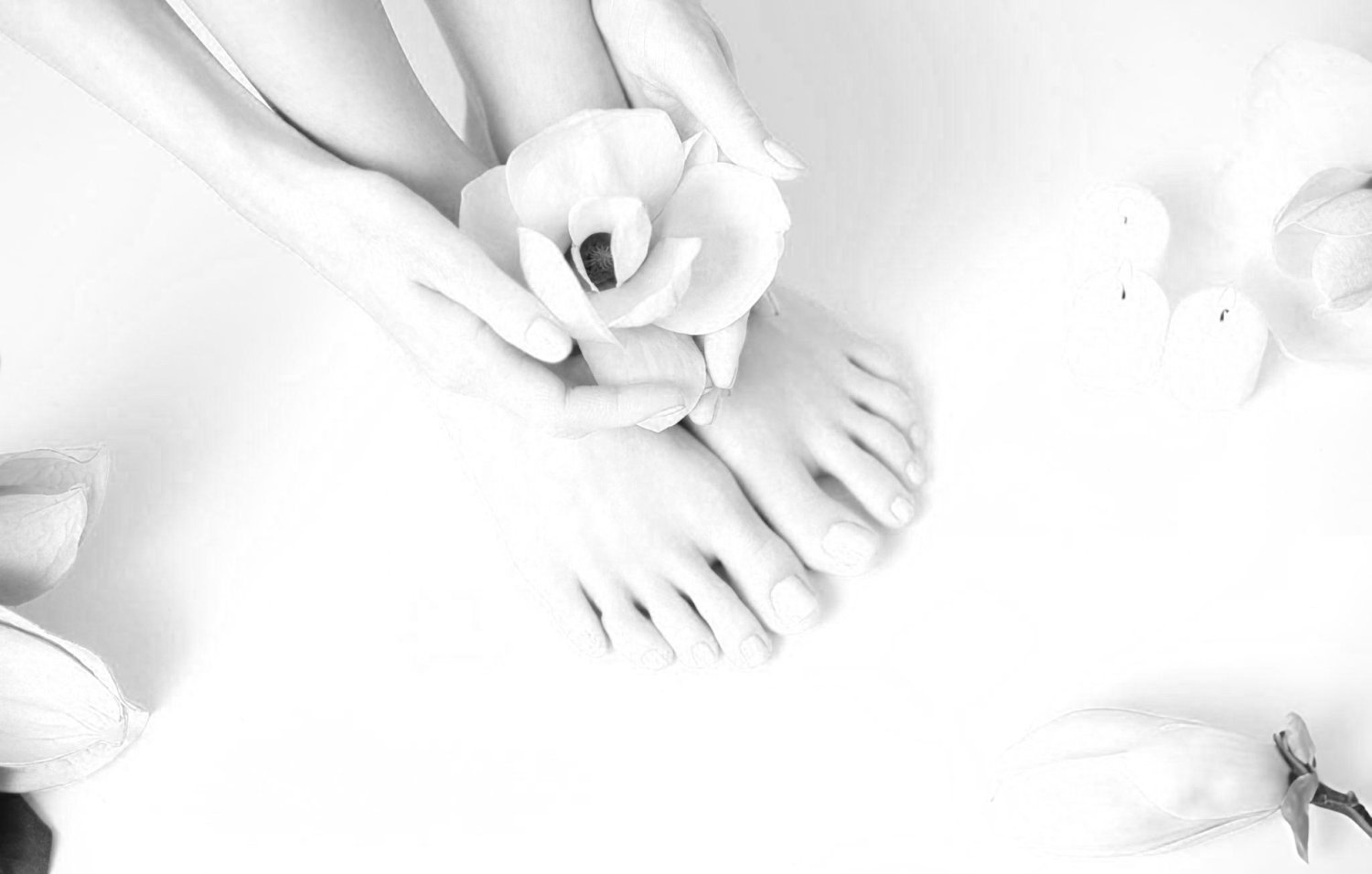 Wellness Services Rohnert Park